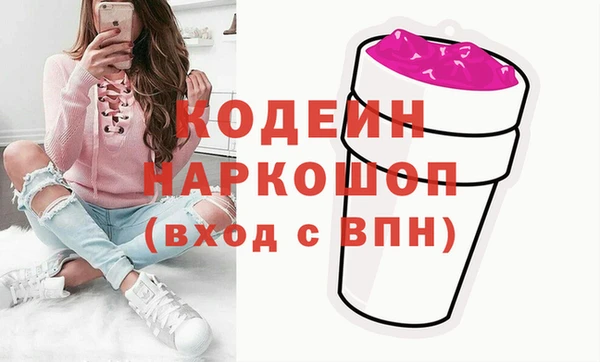 индика Бородино