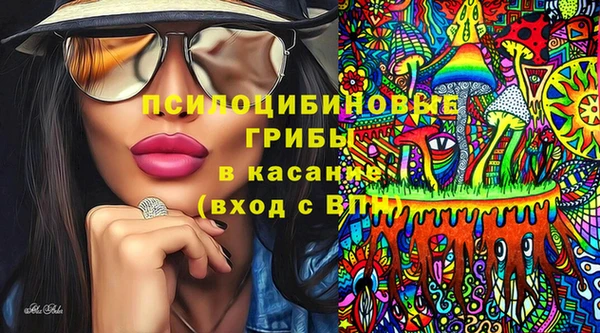 дживик Бронницы