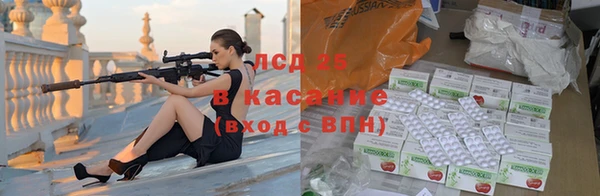 индика Бородино