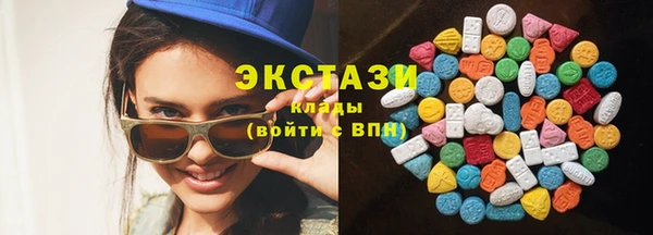 индика Бородино