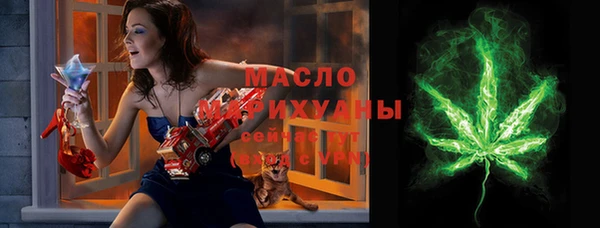 индика Бородино