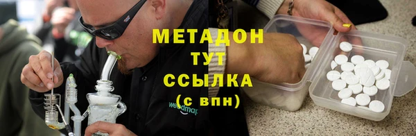 индика Бородино