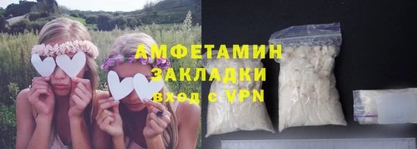 дживик Бронницы