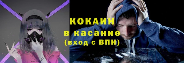 индика Бородино
