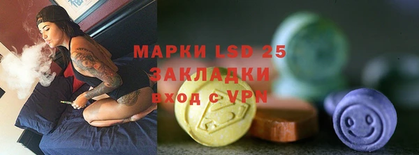 индика Бородино