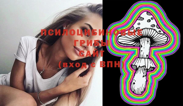 индика Бородино