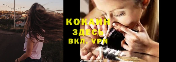 дживик Бронницы