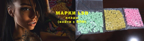 индика Бородино
