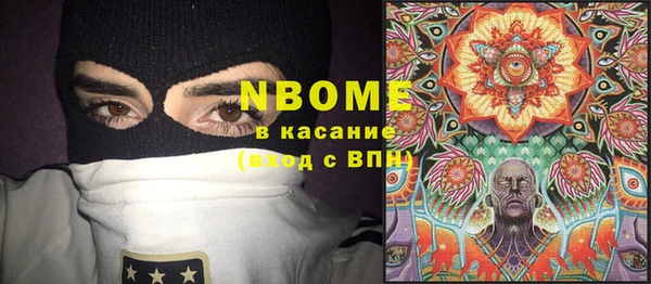 дживик Бронницы