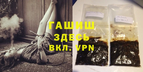 индика Бородино