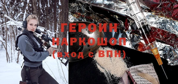 индика Бородино