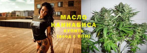 дживик Бронницы