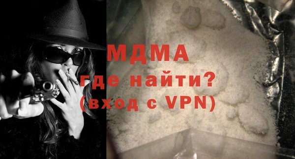 индика Бородино